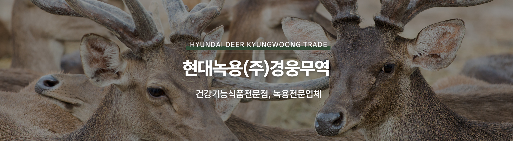 20240725155758_icmZel5R.jpg_carousel_녹용전문업체_현대녹용(주)경웅무역,녹용전문업체,건강기능식품전문점,경웅단,경웅고,홍삼,인삼,녹용